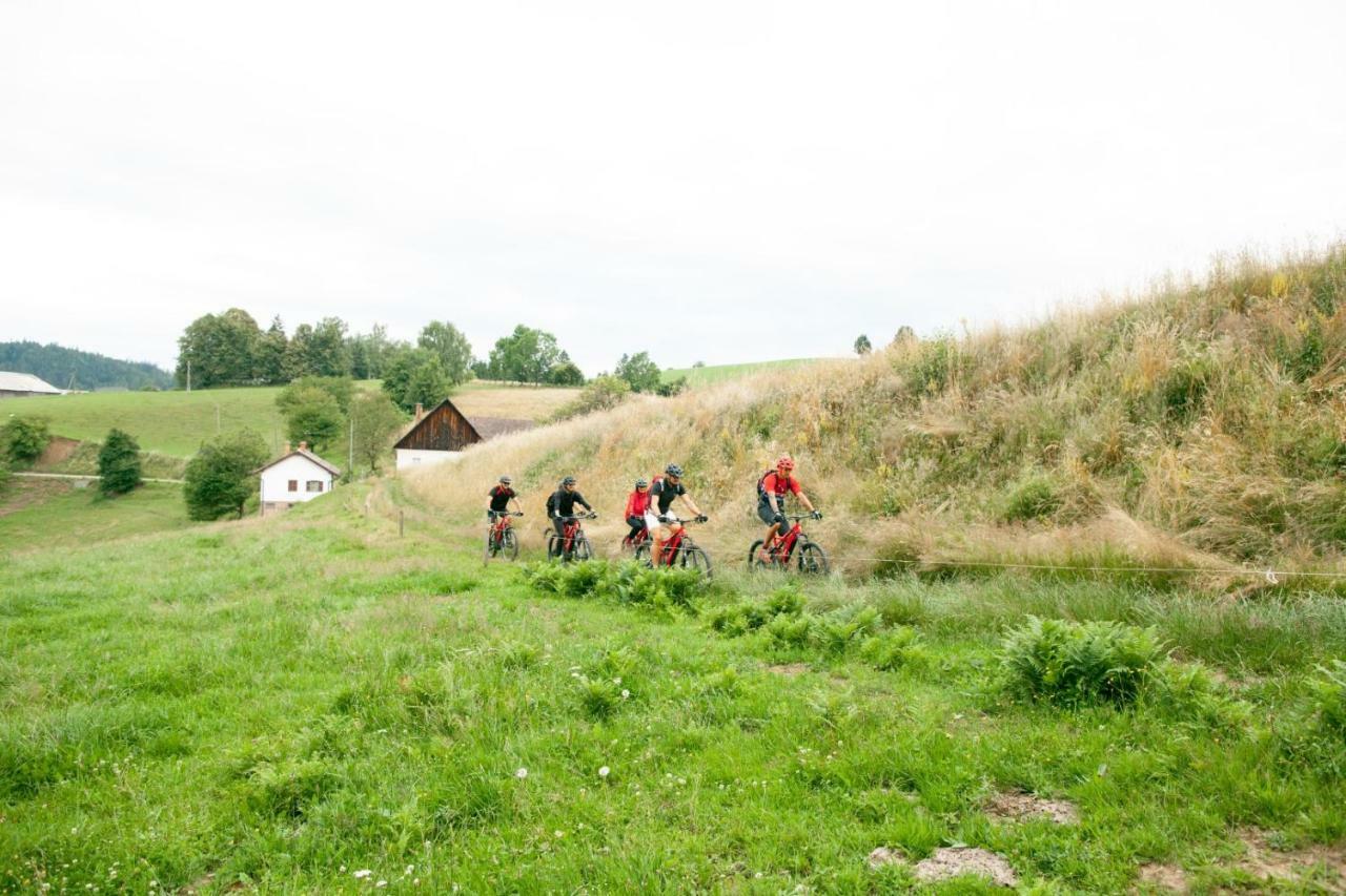 Gasthof Zum Moosmann - Familie Pachernigg Arnfels Eksteriør billede